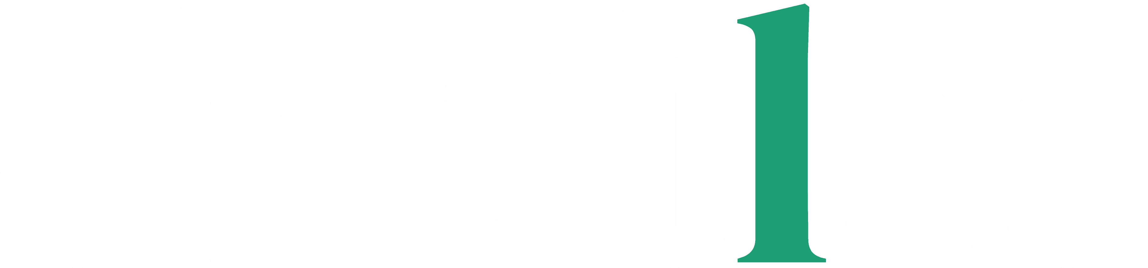 Driftlss AI logo