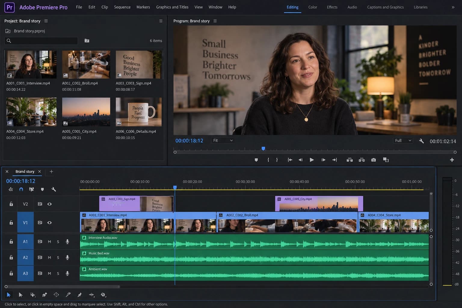 Illustrative Adobe Premiere Pro workspace with an interview preview, video clips, and audio tracks